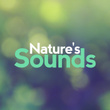 Nature's Sounds
