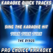 Karaoke Quick Tracks : Turn Turn Turn (karaoke Version)