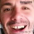 Éxitos, Vol.11