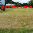 YokosukaKusakariSibakariUta