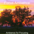 Ambience for Focusing