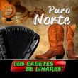 Puro Norte