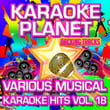 Various Musical Karaoke Hits, Vol. 18