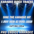 Karaoke Quick Tracks : I Just Died In Your Arms Tonight (karaoke Version)