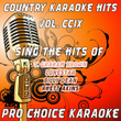 Country Karaoke Hits, Vol 209