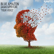 Blue Amazon Presents Super Fluke - Your Voice