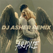 Aripile (DJ Asher Remix)