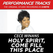 Holy Spirit, Come Fill This Place (premiere Performance Plus Track)