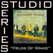 Fields Of Grace 