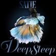 Satie Deep Sleep