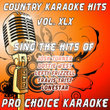 Country Karaoke Hits, Vol. 45