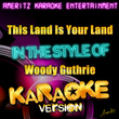 This Land Is Your Land (in The Style Of Woody Guthrie) 