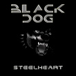 Black Dog