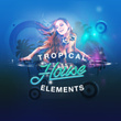 Tropical House Elements