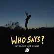 Who Says? (Remix) [feat. My Buddy Mike]