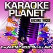 The Whitney Houston Hits, Vol. 1