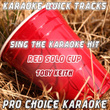 Karaoke Quick Tracks : Red Solo Cup (karaoke Version)