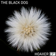 Hoaxer EP 1