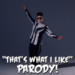 "That's What I Like" Parody of Bruno Mars' "That's What I Like"