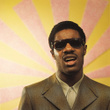 Stevie Wonder