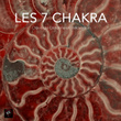 Les 7 Chakra - Les Secrets De L'énergie