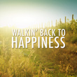 Walkin' Back To Happiness