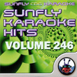Sunfly Hits: Vol. 246