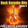 Rock Karaoke Hits, Vol. 11