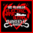 Electric Kama Sutra (Somiak Mixes)
