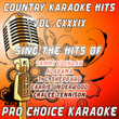 Country Karaoke Hits, Vol. 139