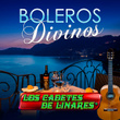Boleros Divinos