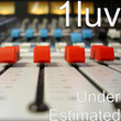 Under Estimated