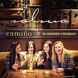 Camiño (De Bruxelas A Santiago)