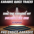 Karaoke Quick Tracks : Because I Got High (karaoke Version)