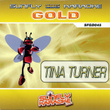 Sunfly Gold 45 In The Style Of Tina Turner
