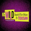The Wild Sound Of New Orleans By Tousan