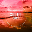 # 1 Album: Soulful Nights
