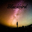 Blackbird