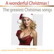 A Wonderful Christmas!