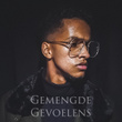 Gemengde Gevoelens