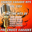 Country Karaoke Hits, Vol. 195