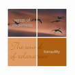 Tranquillity- Wings Of Wilderness