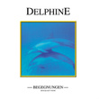 Dolphins - Sea World