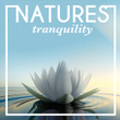 Nature's Tranquility