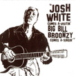Comes A-Visitin' Big Bill Broonzy Comes A-Singin'