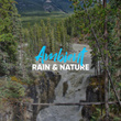 #Ambient Rain & Nature