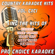 Country Karaoke Hits, Vol. 191