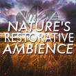 Nature's Restorative Ambience