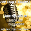 Sing The Hits Of Hootie And The Blowfish (karaoke Version)