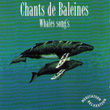 Chants De Baleines ( Whales Song's)